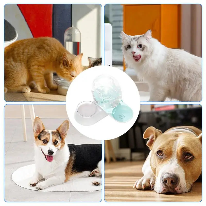 2-in-1 Pet Pet Water Fountain