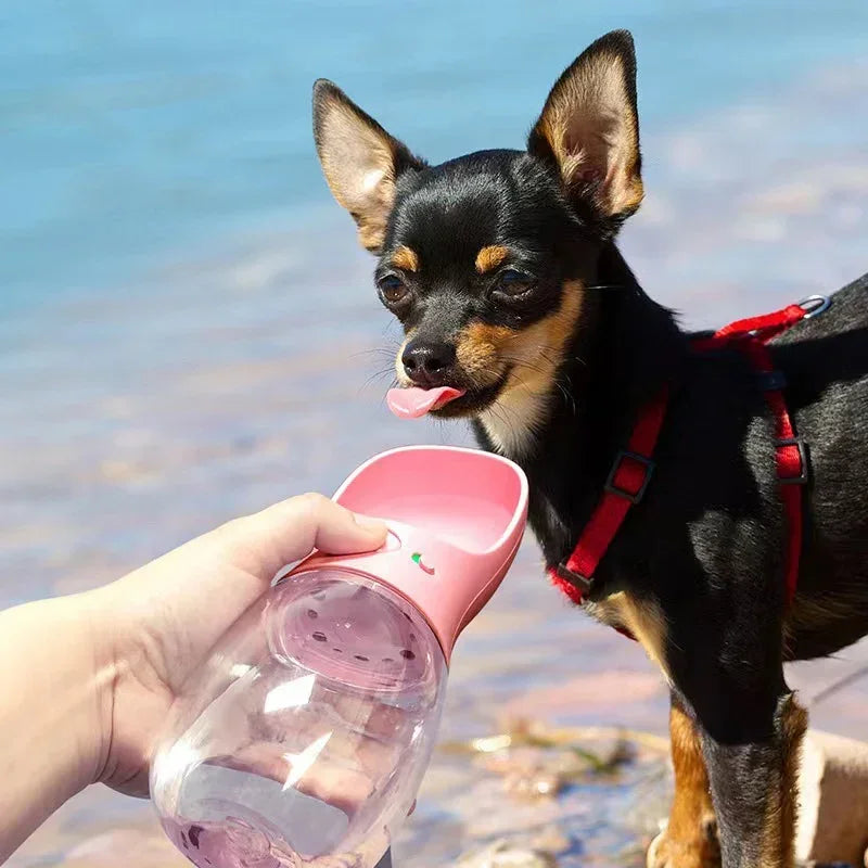 Portable Outdoor Walking Pet Bottle