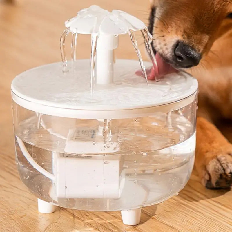 Ultra Quiet Pet Water Fountain