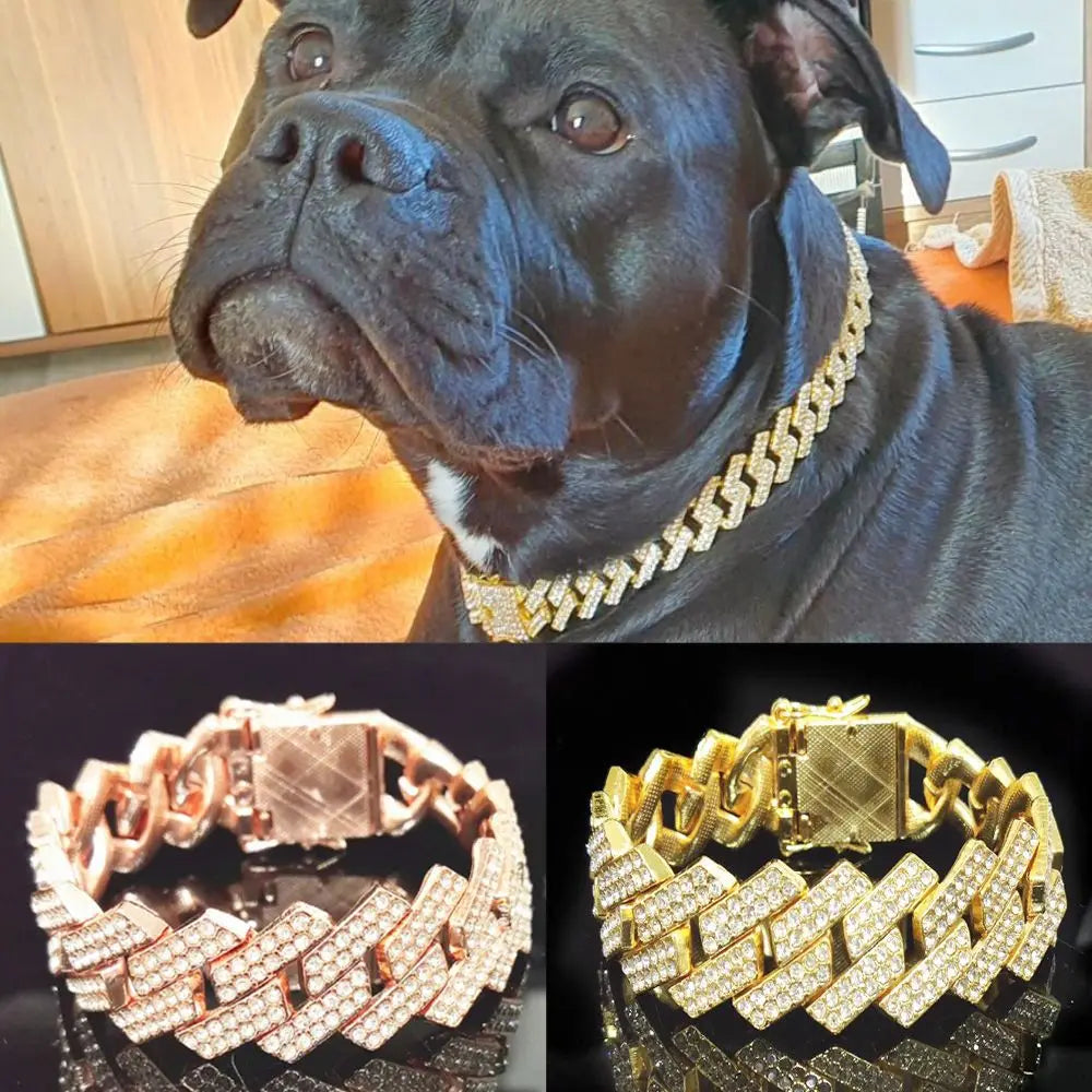 Luxury Harness Chain Collar