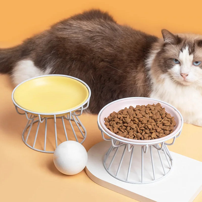 Ceramic Raised Cat Food Bowl