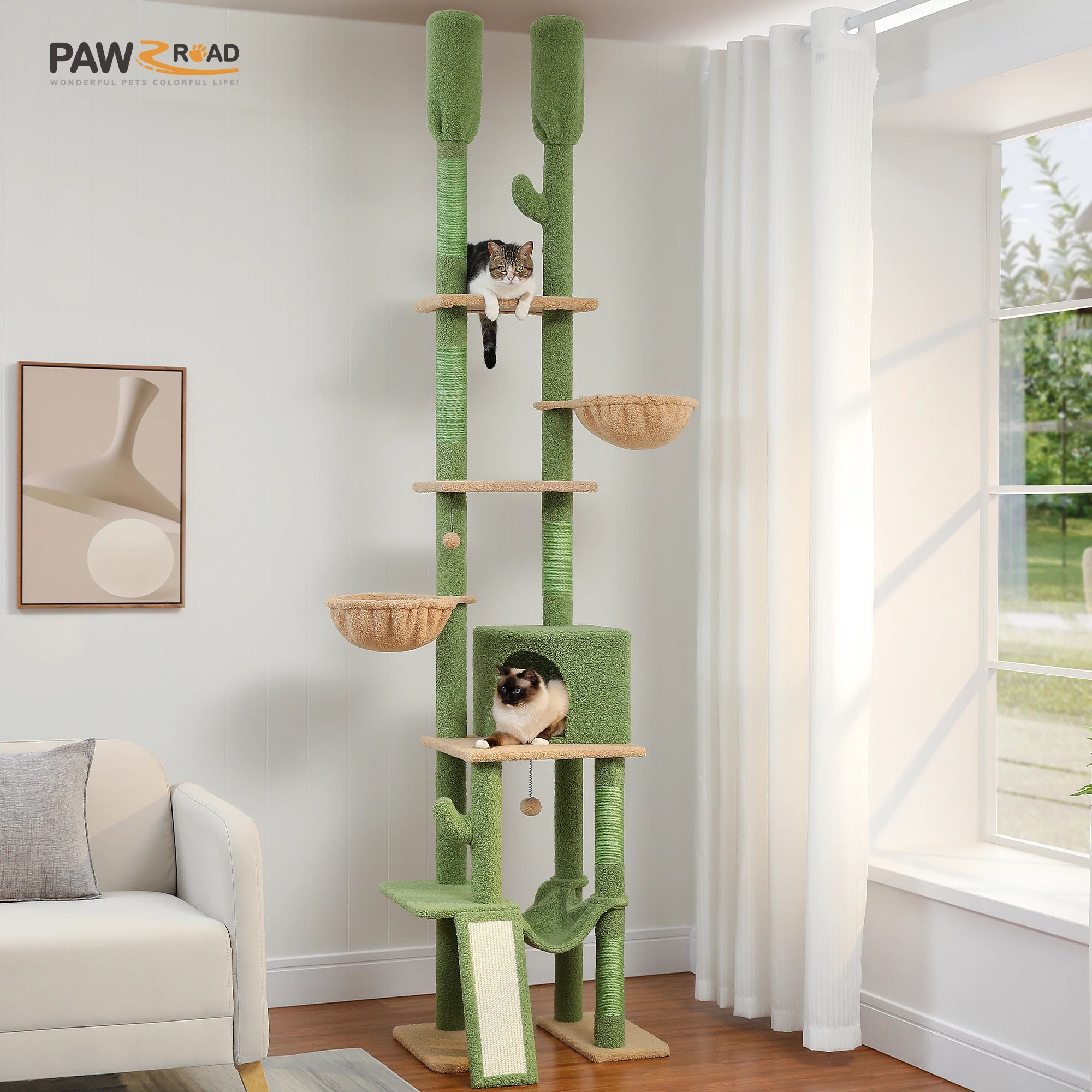 Cactus Cat  Climbing Tree