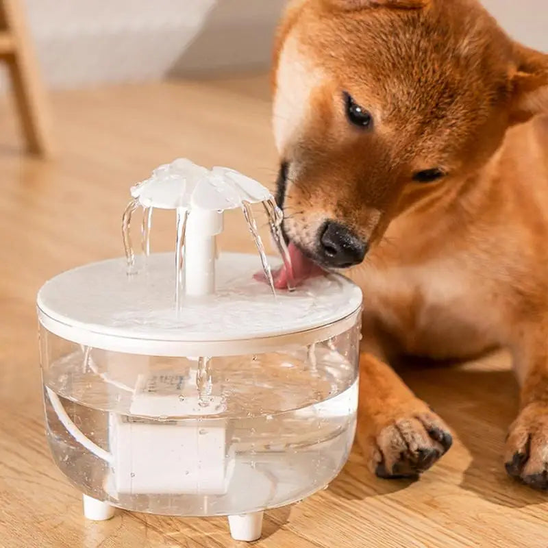 Ultra Quiet Pet Water Fountain